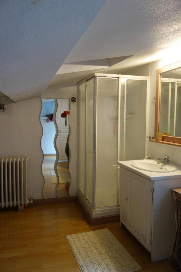 Bel Appartement Au Coeur Du Puy En Velay Le Puy-en-Velay Esterno foto